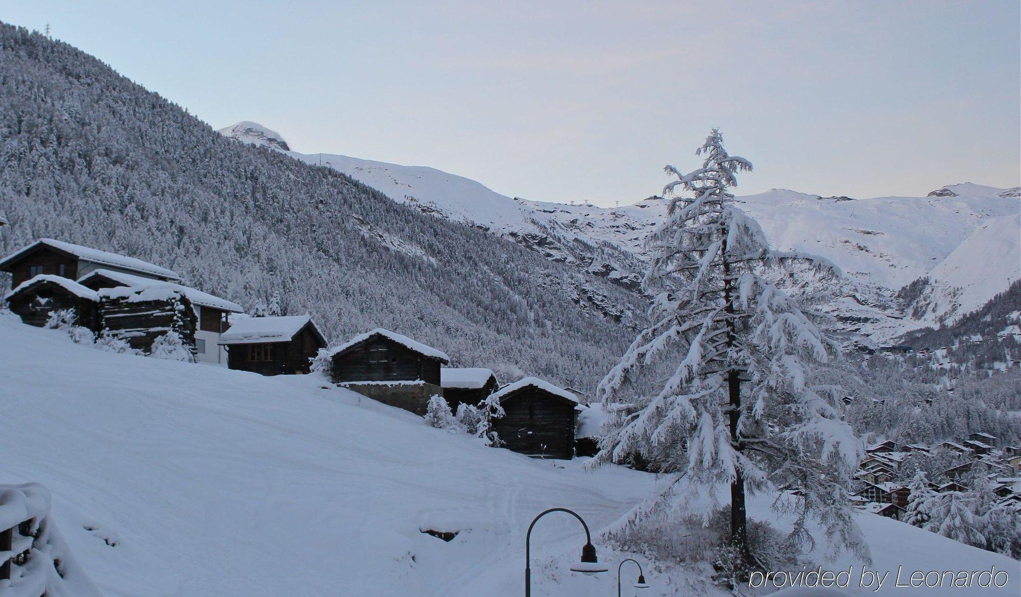 Alpenlodge Zermatt Exteriör bild